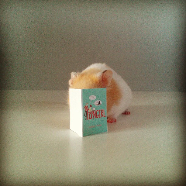 hamster-reading-fangirl-book-via-wwjend-on-tumblr.jpg