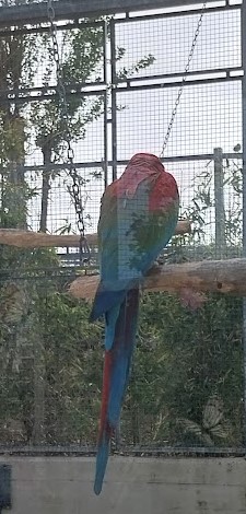 ke_p3.jpg