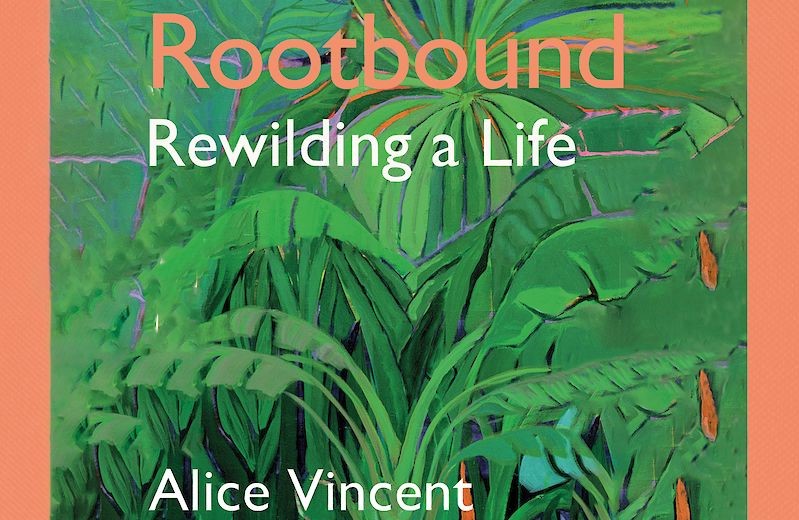 A Rootbound című könyv rövid idő alatt nagyon népszerű lett
