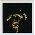 A felejtés csele: válogatás André Kertész polaroidjaiból