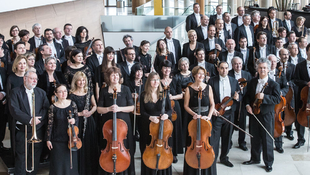 Kollégákat keresnek a Nemzeti Filharmonikusok