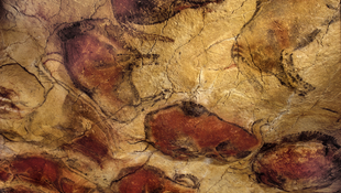 Altamira barlangrajzai - A művészet kezdetei