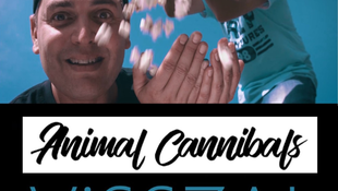 Vissza! - itt az új Animal Cannibals dal és klip