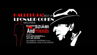 Cohen dalok magyarul, on-line!