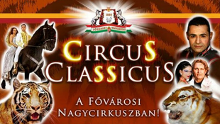Nagyszabású cirkusz Budapesten