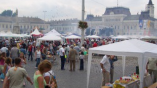 Megkezdődött a jubileumi Bajai Halfőző Fesztivál