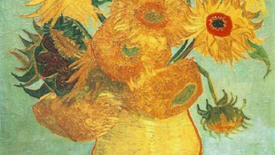 Megnyílt a Van Gogh Múzeum