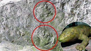 300 millió éves lábnyomot találtak