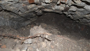 Folytatódik a bakonyi alagút feltárása