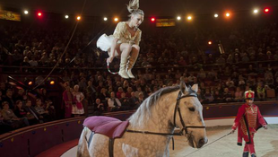 Magyar produkció nyert a cirkuszfesztiválon