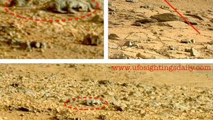 Titokzatos élőlényt fotóztak a Marson
