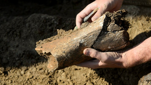 Ritka leletet találtak Nógrádban