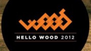 200 fiatal a Hello Wood alkotótáborban