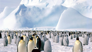 Egy élhető Antarktisz emlékei