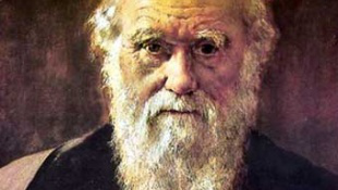 Meglelték Darwin madártojását