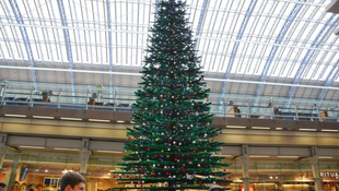 Budapesten a legnagyobb LEGO karácsonyfa