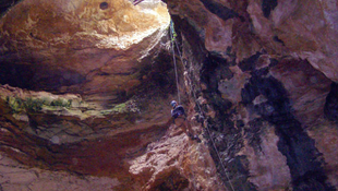 Elkezdik feltárni a fosszília-kincseket rejtő wyomingi barlangot
