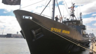 Lefoglalták az Öko-kalóz zászlóshajóját