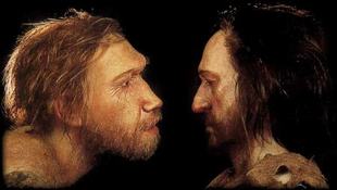 Nem volt ostoba a neandervölgyi ember
