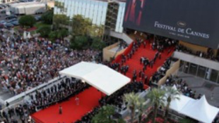 Kik mennek Cannes-ba? 