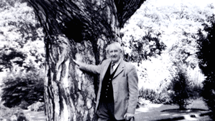 Kivágják Tolkien fáját Oxfordban