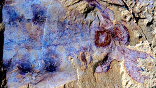 520 millió éves tengeri állat maradványaira bukkantak