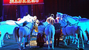 Magyarul hirdeti előadásait egy olasz cirkusz Észak-Szlovákiában