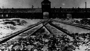 Az Ön otthonába költözik Auschwitz