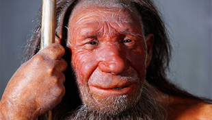 Visszatérnek a neandervölgyiek