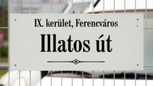 Teltház az Illatos úton!