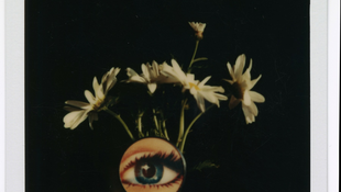 A felejtés csele: válogatás André Kertész polaroidjaiból