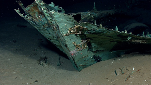 Felbecsülhetetlen kincsekkel teli hajóroncsot találtak a tenger fenekén