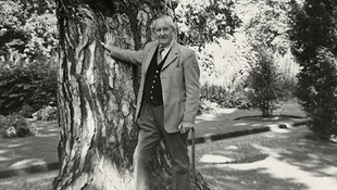 Kivágják Tolkien fáját Oxfordban