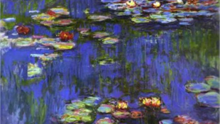 Milliárdokért árverezik el Monet liliomait