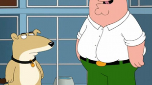 Elütötték a Family Guy kutyáját