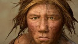 Nem csak a neandervölgyivel szűrtük össze a levet