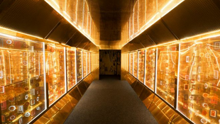 Május 19-én nyitja meg kapuit a Gustav Klimt: The Immersive Experience interaktív kiállítás