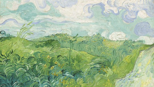 Van Gogh-tájképet rejtett a ház