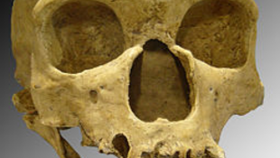 A neandervölgyiek géntérképe