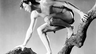 30 éve halt meg Tarzan