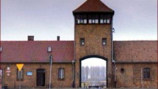 Magyar kincseket találtak Auschwitzban