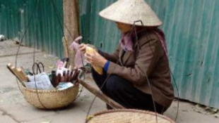 A vietnámiak Kertészt olvasnak és Egri csillagokat néznek