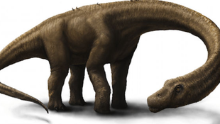 Új dinoszauruszfaj maradványaira bukkantak Tanzániában