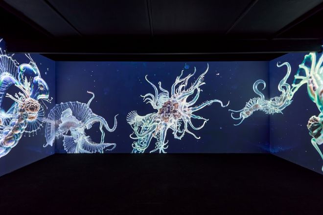 Mat Collishaw: Tensor mag (TensorCore), 2025