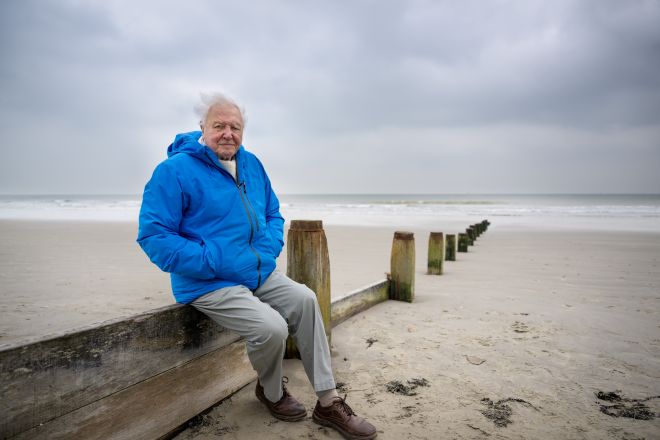 David Attenborough