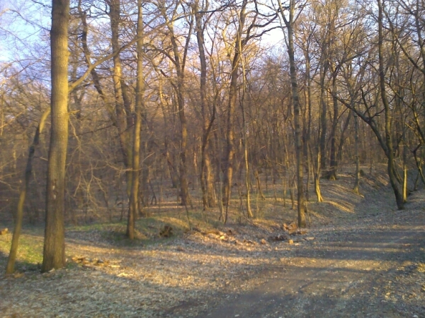 fak_20130411790.JPG