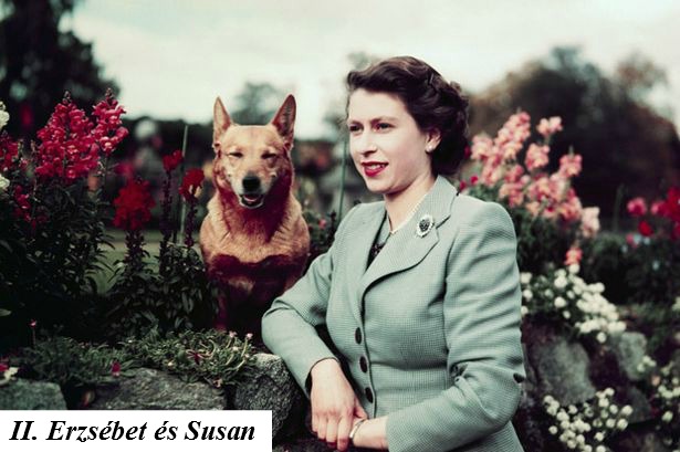 Queen Elizabeth in Garden with Dog.jpg