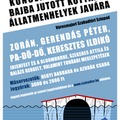 Koncert a bajba jutott kutyákért