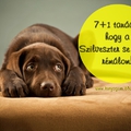 7+1 tanács, hogy a Szilveszter se legyen rémálom!