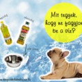 Tippek hideg időre 1. rész